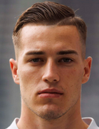 Luka Sucic