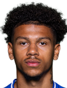 Bryan Fiabema